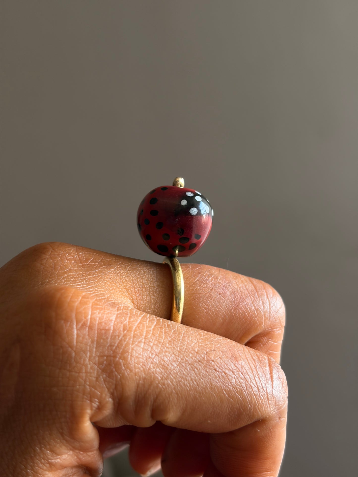 Form 04 - Ladybird