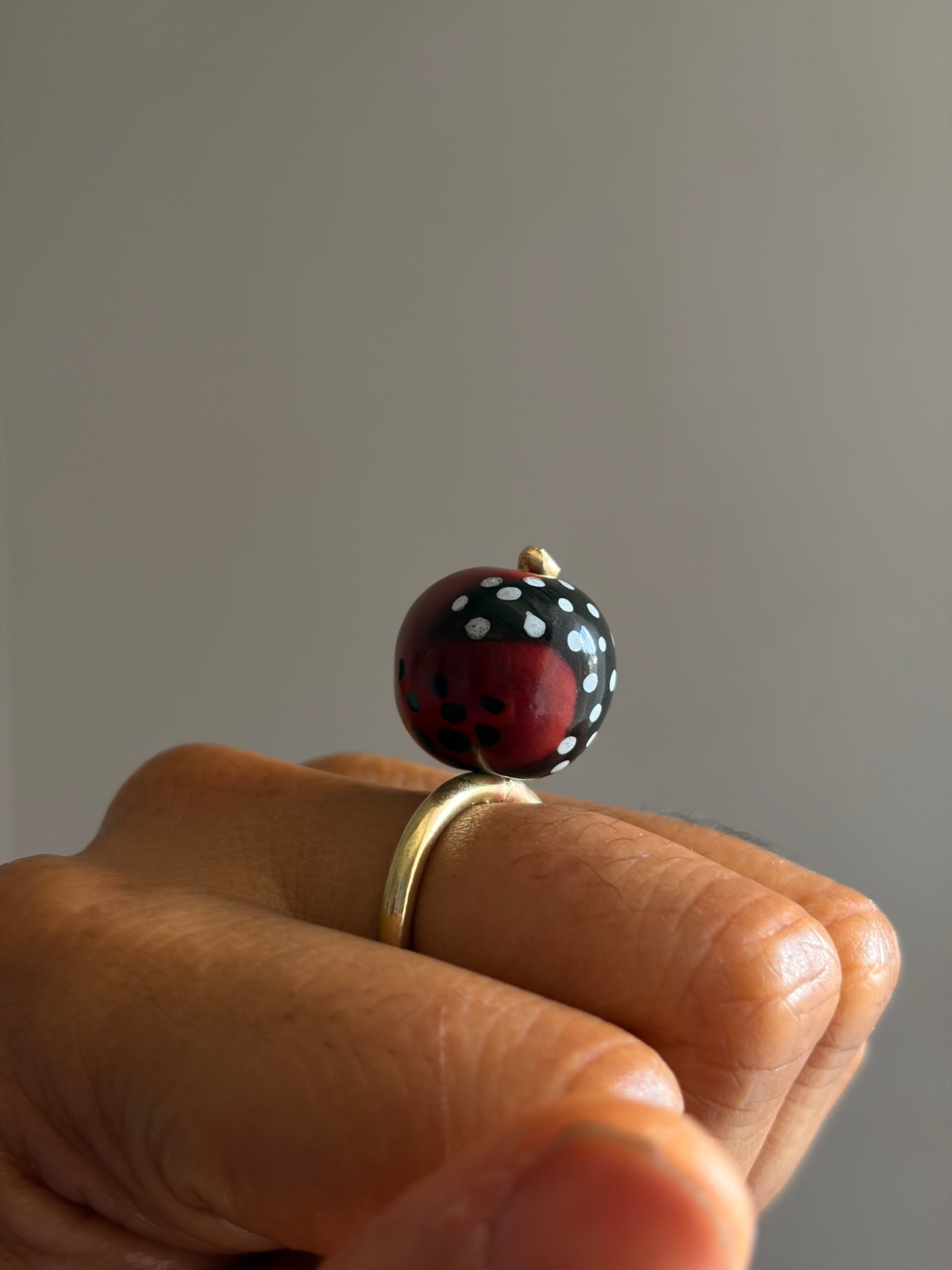 Form 04 - Ladybird